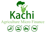 kachi_logo